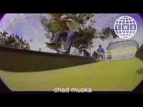 411VM Issue 11, Ed Templeton and Ray Barbee Profiles, Flip Industry Section