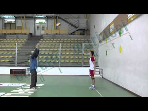 Volley: dal Palleggio didattico all'alzata