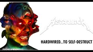 14.Metallica - Ronnie Rising Medley