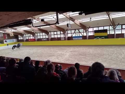 Blanc Pain Krumke 2017