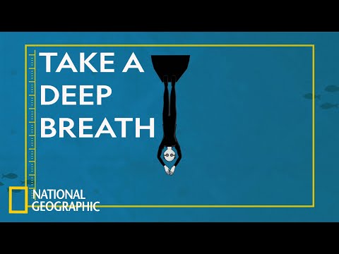 自由潛水的危險｜科學的愚蠢 - 荒謬的失敗 (The Dangers of Free Diving | Science of Stupid: Ridiculous Fails)