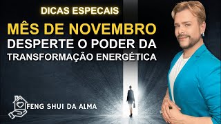FENG SHUI NOVEMBRO: DESPERTE O PODER DA TRANSFORMAÇÃO ENERGÉTICA NOS LARES / LUIZ NETTO