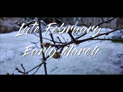 Late Winter Grips Us Still in the PNW