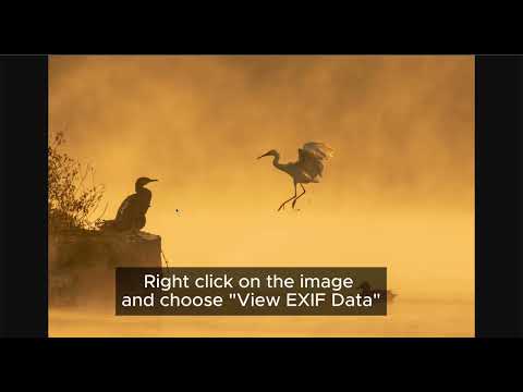 Miniature de la vidéo de l'article