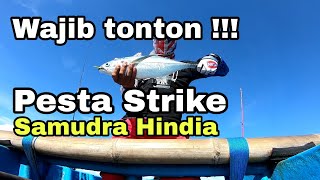 preview picture of video 'pesta strike - ikan pelagis samudra hindia - 01'