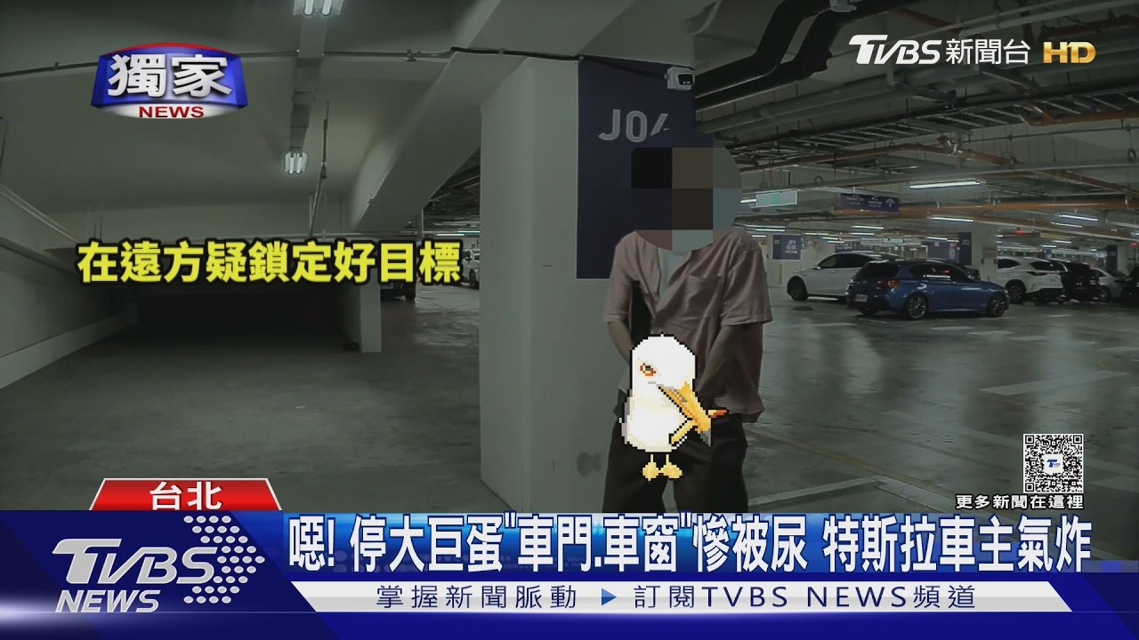 獨／大巨蛋停車場「尿尿怪客」　特斯拉車主傻眼：濕一塊