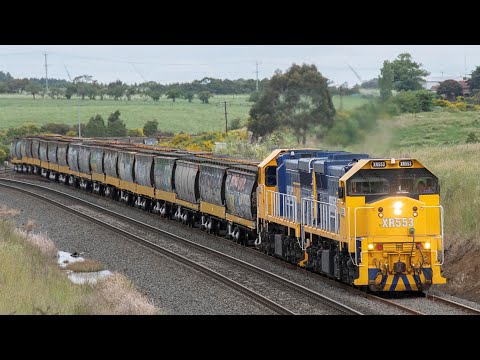 Double XR Classes on a Broad Gauge Grain Train! (PN's 9149 to Sea Lake) | XR553, XR550