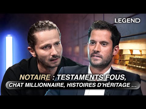 NOTAIRE : TESTAMENTS FOUS, CHAT MILLIONNAIRE, HISTOIRES D’HÉRITAGE, CE QU’IL A VU DE PLUS INCROYABLE