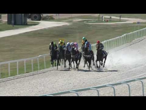 2017.07.30. 3. futam - MINERAL HENDIKEP (III.o.) (szintetikus pálya)