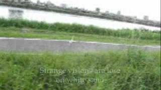 Modern English ~ Dawn Chorus