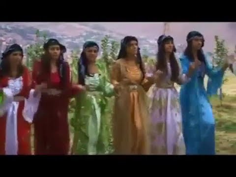 KOMA DİLAN- Şexani - Memir - kürtçe süper oyun havası - GÜL BARİ delilo halay govend dawet KLİBA NU