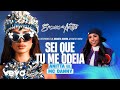 Anitta Mc Danny HITMAKER Sei Que Tu Me Odeia Lyric Video
