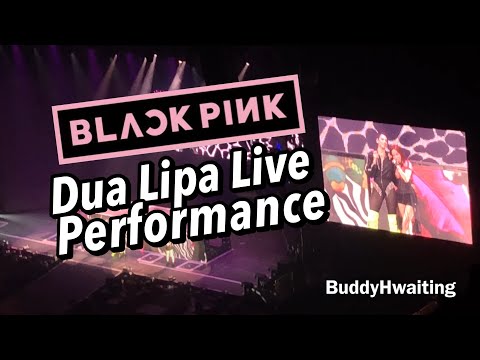 BLACKPINK Dua Lipa Kiss and Make Up Surprise Appearance Fancam 20190501 Really Newark
