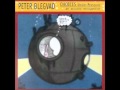 Peter Blegvad - King Strut