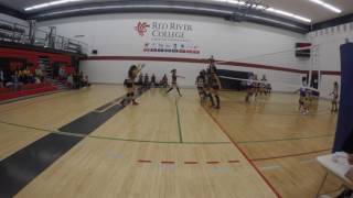 Volkswagen vs Assasins