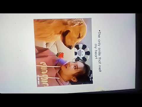 just watch that smile😊 #viralvideoyoutube #doglovers