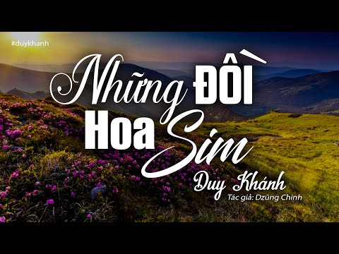 Những đồi hoa sim Sheet - Duy Khánh