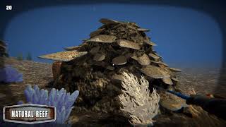 Lionfish Game - Natural Reef Dive Site