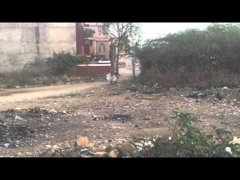 Clean India young girls picking solid waste anil jain ajmer 28 feb 2015