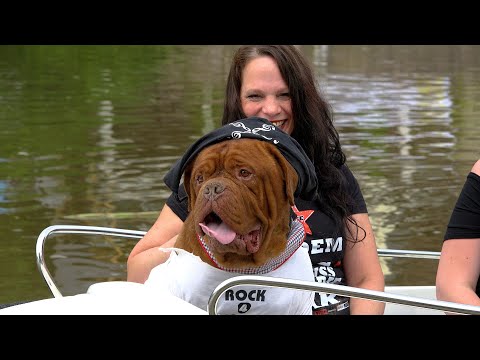 Benefizkonzert Muldenrock'n'roll 4 Charity für das Tierheim Schkortitz am 17.07.2021 ab 15 Uhr