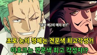 [원피스 분석]조로 눈의 비밀은 미호크와 같은 매의 눈?! 미호크의 눈은 견문색 최고각성?!