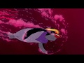 The Pebble And The Penguin Killer Whales