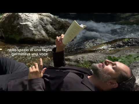 Deadline naturale #2