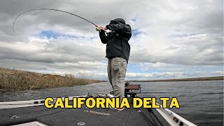 Things are Starting to Happen - California Delta Pre-Spawn Fishing