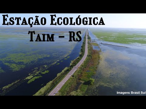 Estação Ecológica do Taim  |  RS  |  Brasil  (Aérea Drone) ©Todos Direitos Reservados