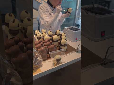 elaboracion del chocolate🍫 #viral #museum #chocolate #fyp #köln #germany