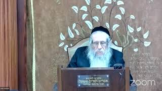 הרה"ג הרב וועכטר שליט"א כ"ו מנחם אב תשפ"ד - שיעור בעניין 100 ברכות (הרב אברהם מנחם מענדל וכטר) - התמונה מוצגת ישירות מתוך אתר האינטרנט יוטיוב. זכויות היוצרים בתמונה שייכות ליוצרה. קישור קרדיט למקור התוכן נמצא בתוך דף הסרטון