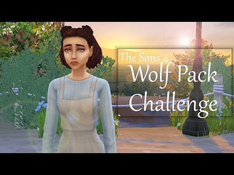 ANNOYING CATS IRL:// The Sims 4 Wolf Pack Challenge