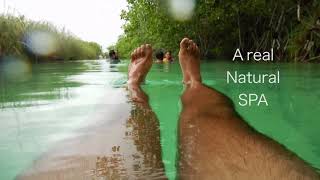 Things to do in Sian Ka&#39;an Biosphere I Float the Muyil Canals