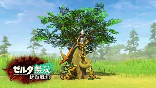 遅れましたがクリア記念にコログ集め【ゼルダ無双 封印戦記】