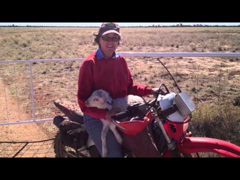 The People Behind OBE Organic   Paula Fraser 1 no subs