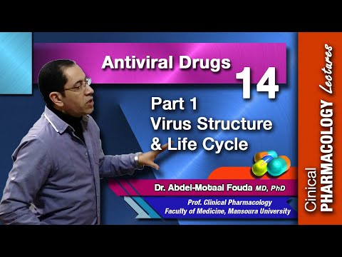 Antiviral Chemotherapy - Part 1: virus structure and life cycle