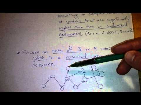 Tutorial on Network Motifs