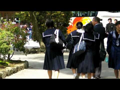 Flashworx - Love Is Anywhere