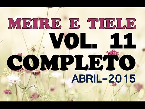 NOVO 2015 - Meire e Tiele Vol. 11 - CD COMPLETO