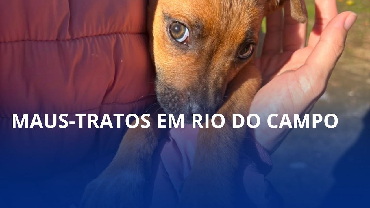 Filhote desnutrido é resgatado e cão é encontrado morto em Rio do Campo