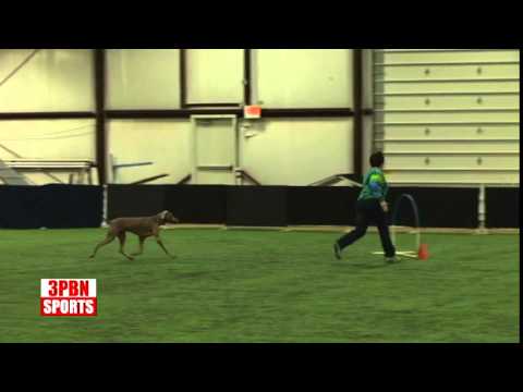 Rashi Sat Intro Chances 1