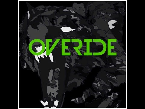 Mike Candy & Jack Holiday VS Martin Garrix - The Animal's Insomnia (Overide Mashup)