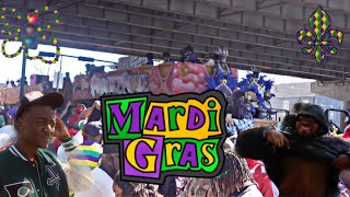 ToDD: a NOLA Mardi Gras 2022💜💚💛