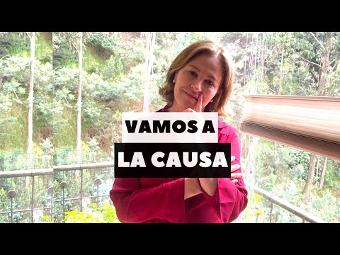 VAMOS A LA CAUSA