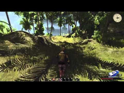 risen 2 dark waters pc cheats