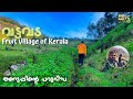 Vattavada The Fruit Village Of Kerala Ep 3 Of Idukki Hill Stations Castillo De Woods