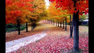 Soundforce - Autumn leaves