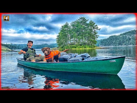 SURVIVAL WITH A DOG | Canoe ADVENTURE in the Swedish Wilderness on an ISLAND | Survival Mattin