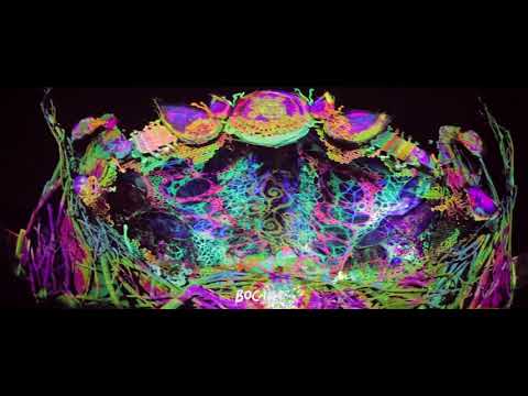 BOCARA AFTERMOVIE MODEM TEASER BRASIL 2018