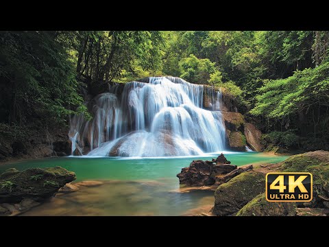 (4K HDR) Most Beautiful Jungle Waterfalls Around the World | Waterfall 4K Nature Relaxation